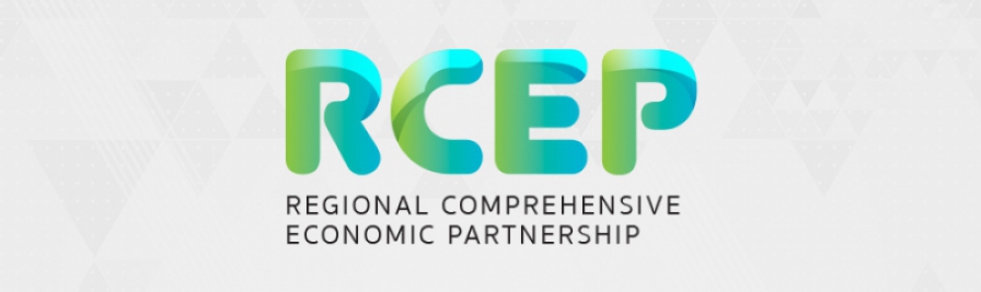 การประชุมว่าด้วยกรอบความร่วมมือทางเศรษฐกิจอาเซียน (Regional Comprehensive Economic Partnership : RCEP) สาหรับคณะทำงาน working group on e-commerce