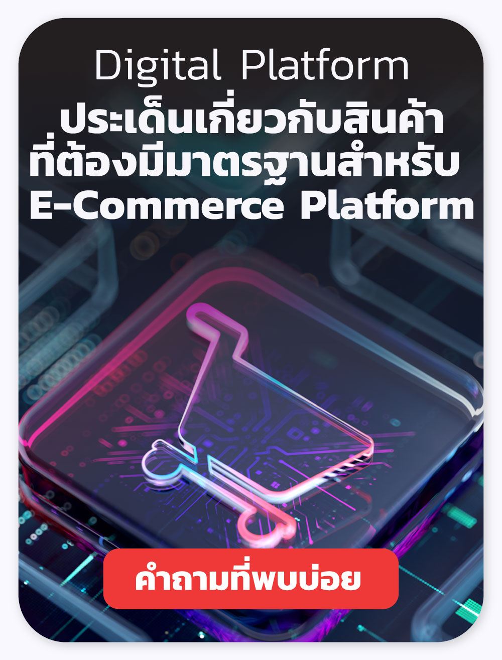 ประเด็นเกี่ยวกับสินค้าที่ต้องมีมาตรฐานสำหรับ E-Commerce Platform